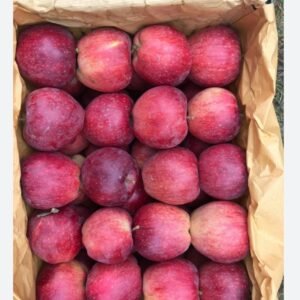 تفاح من الدرجة الأولى أحمر وأصفر